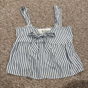 American Eagle Outfitters Blue and White Adjustable Straps Striped Crop Top